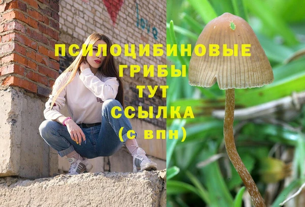 спайс Беломорск