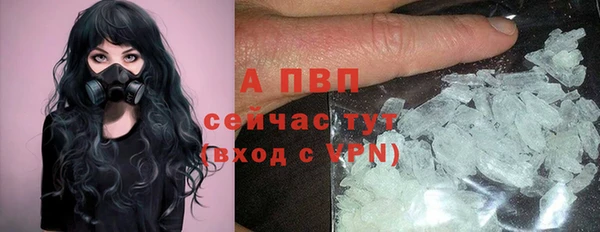 спайс Беломорск